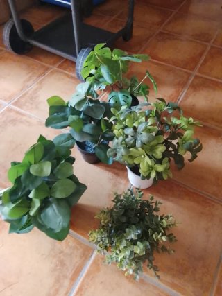 Conjunto Plantas Artificiales Colgantes y de suelo