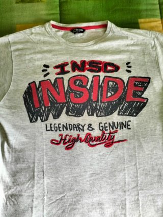 Camiseta Inside gris
