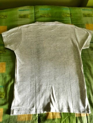 Camiseta Inside gris