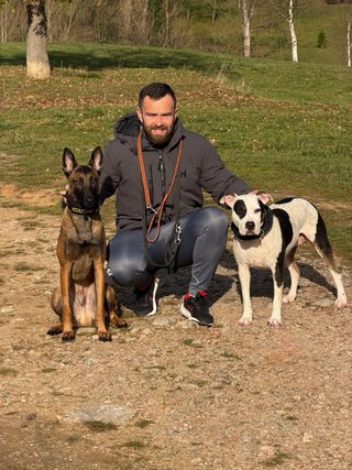 EDUCACIÓN CANINA – REEDUCADOG