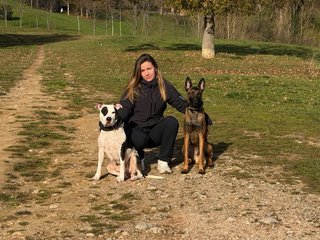 EDUCACIÓN CANINA – REEDUCADOG