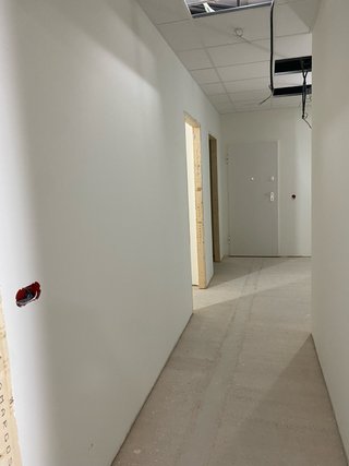 pintor Servicios de pintura profesional