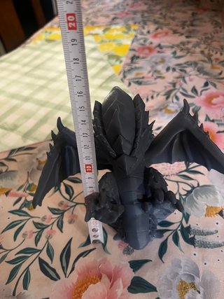 Drago Grigio