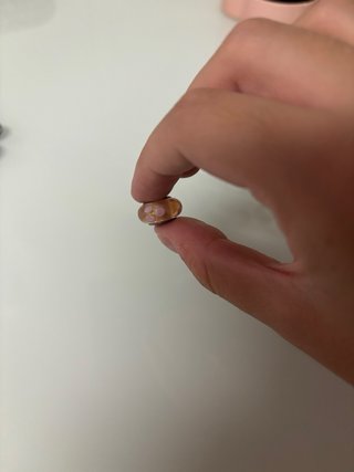 Charms Pandora Auténticos - 7€ 1/pieza