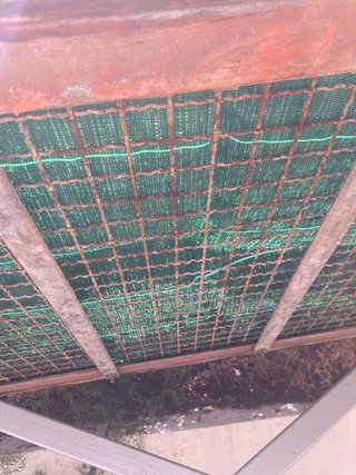 Mesa de cultivo huerto urbano