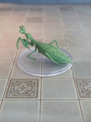 Giant Mantis