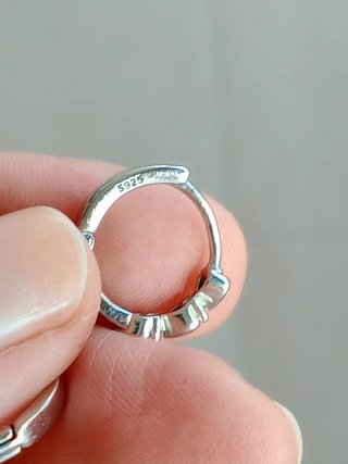 Pendientes de  Plata 925