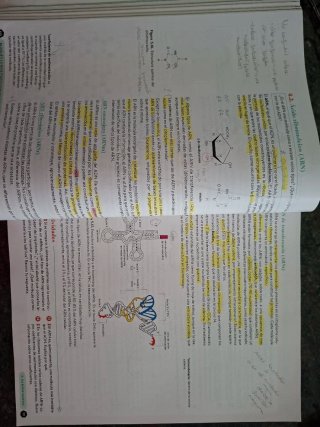 Biología 2º Bachillerato. Libro del estudiante....