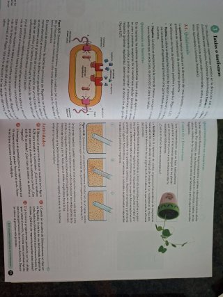 Biología 2º Bachillerato. Libro del estudiante....
