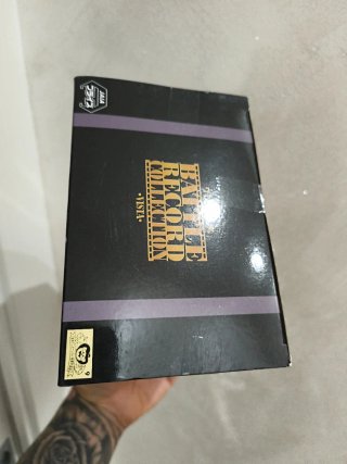One Piece Battle Record Collection