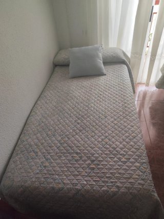 Cama Articulada Eléctrica