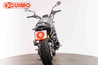 BENELLI LEONCINO 800 TRAIL