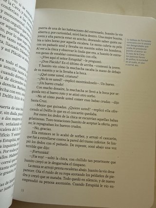 Fortunata y Jacinta