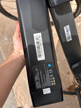 Bicicleta Eléctrica RIVERSIDE Trekking Aluminio