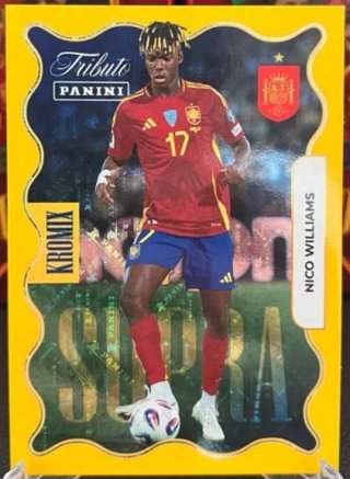 Nico Williams Kromix Panini Tributo