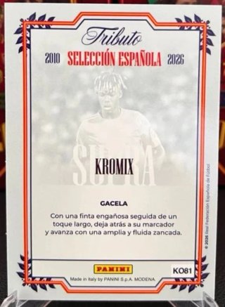 Nico Williams Kromix Panini Tributo