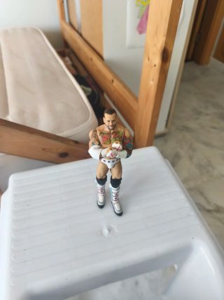 Action figure CM Punk WWE Serie 12