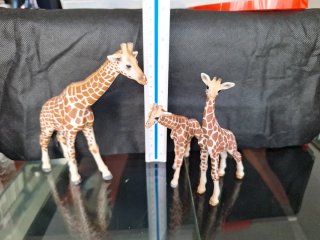 Figure di giraffe Schleich