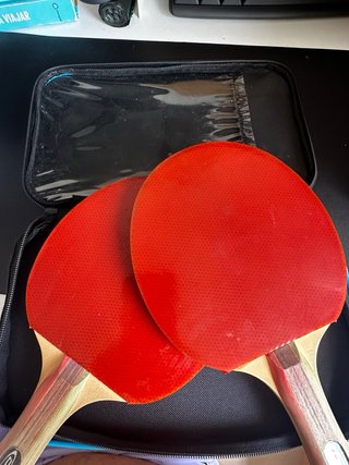 Palas Ping Pong Pro Spin + Bolas