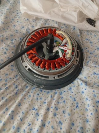 Motor Xiaomi