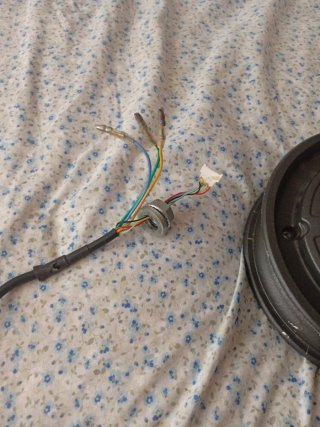 Motor Xiaomi