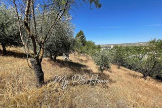 Chalet en venta en Barajas de Melo