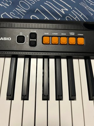 Teclado Casio Casiotone CT-S100