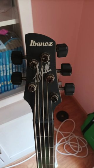 Bajo Eléctrico Ibanez GWB35 Fretless