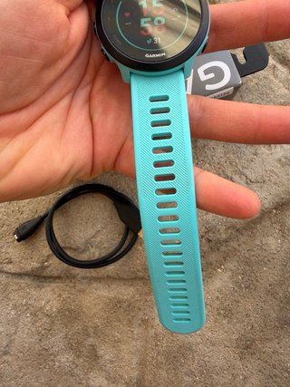 Garmin Forerunner 55 Azul turquesa