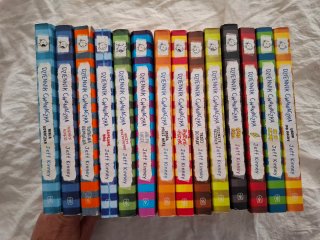 Lote 13 Libros EN POLACO "Dziennik Cwaniaczka"