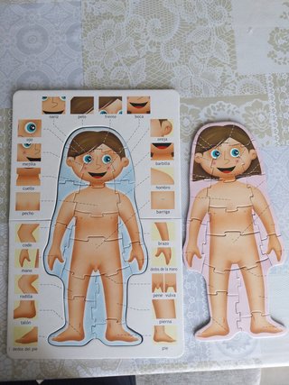 Puzzle Educa El Cuerpo Humano 4 en 1