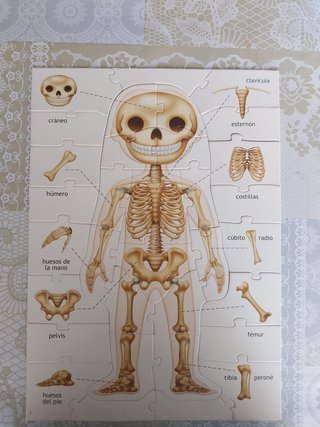 Puzzle Educa El Cuerpo Humano 4 en 1