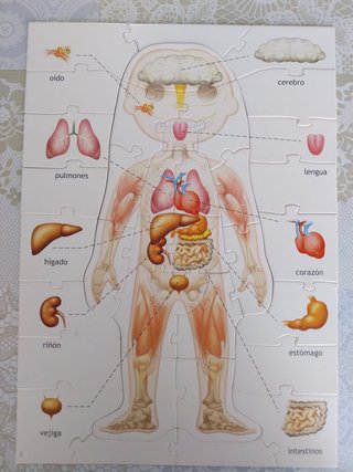 Puzzle Educa El Cuerpo Humano 4 en 1