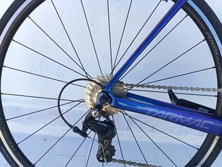 Set Bicicleta + rullo + ruote profilate