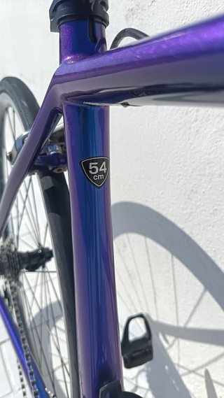 Set Bicicleta + rullo + ruote profilate