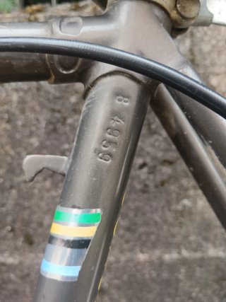Bicicletta Vintage Colombo R28 Da Restaurare