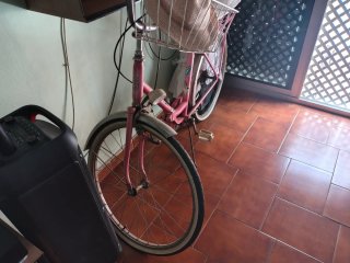 Bicicleta antigua rosa con cesta
