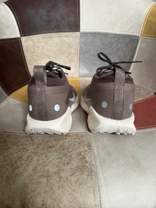 Nike Pegasus Trail 5 GTX Marrón/Gris