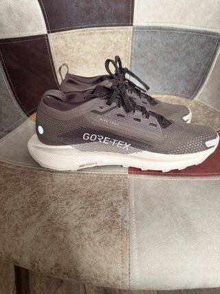 Nike Pegasus Trail 5 GTX Marrón/Gris