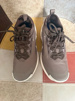 Nike Pegasus Trail 5 GTX Marrón/Gris