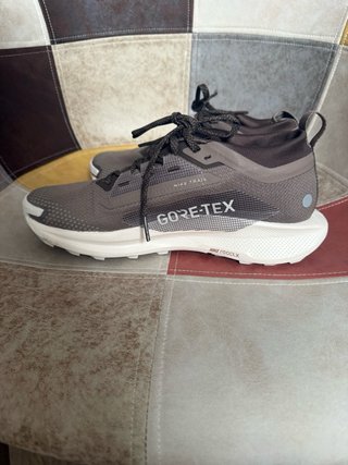 Nike Pegasus Trail 5 GTX Marrón/Gris