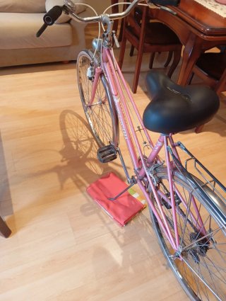 Bicicleta Gacela-BH Vintage Rosa