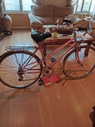 Bicicleta Gacela-BH Vintage Rosa
