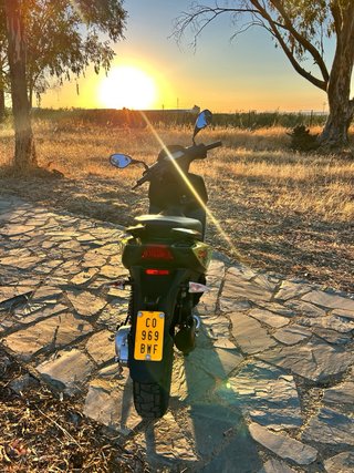 Piaggio Typhoon 49cc Verde Scooter