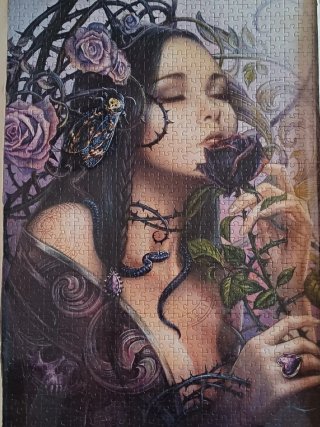 Puzzle Montado Mujer y Rosas Oscuras