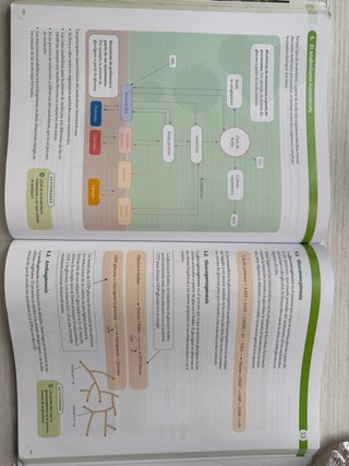 Biología, 2 Bachillerato, Proyecto Construyendo...