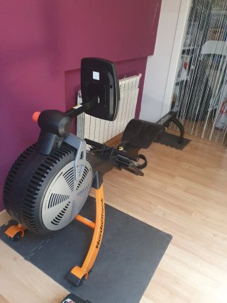 NordicTrack RX 800 Máquina de Remo