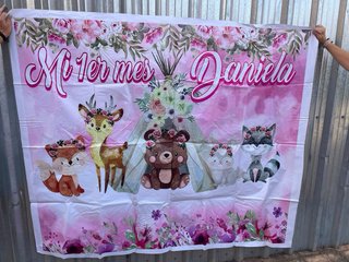 Lona Fiesta Cumpleaños Infantil