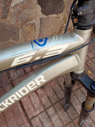 Bicicleta de montaña