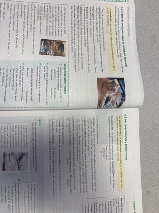 Lengua Castellana Y Literatura 2 Eso